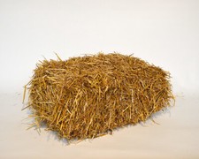 Stroh für Pilzzucht Ungespritztes Stroh für Pilzbrut Champignons Ballen Pilz