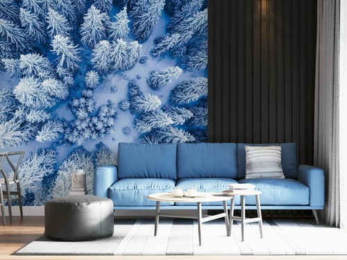 Winter schnee wald - winter,