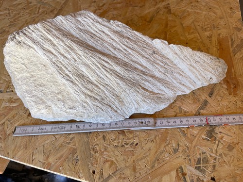 Shatter cone strahlenkalk - shatter,