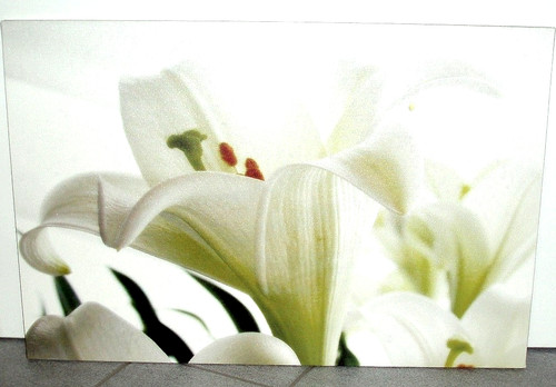 Bild leinwandbild lilien - bild,