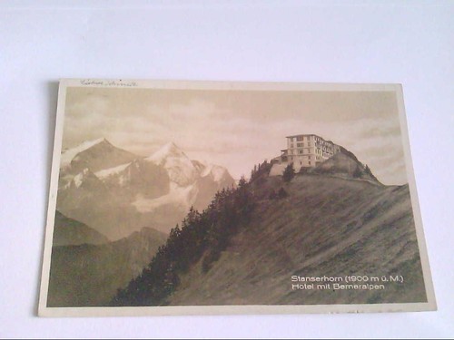 Hotel mit berneralpen - hotel,