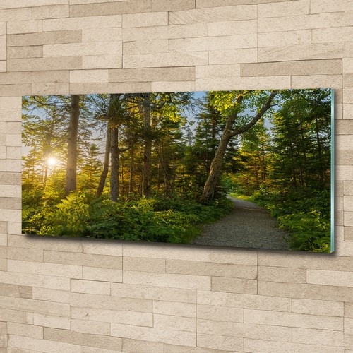 Glas bild wandbilder druck - glas-bild,