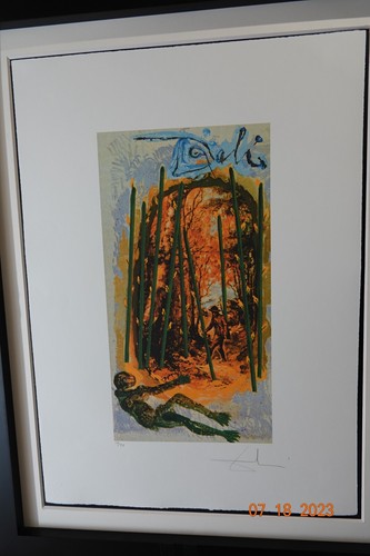 Salvador dali lithographie - dali,