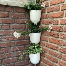 Eck-Wand-Pflanzgefäß