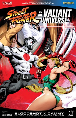 Street fighter the valiant - fighter, vs.