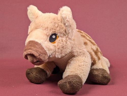 Wildegart wildschwein - wildegart,