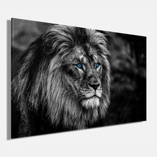 Wandbild LÖWE ca. 78x118 cm – Leinwandbild Keilrahmen Deko modern