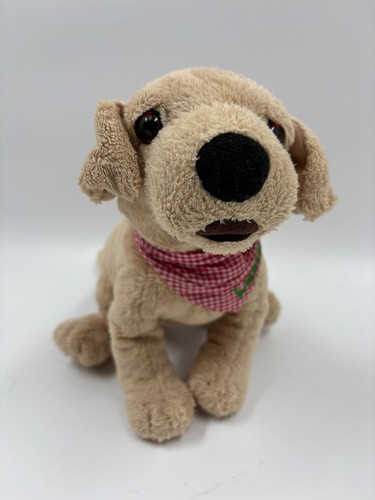 Die spiegelburg labrador welpe - die,