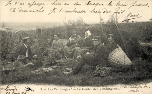 Frankreich weinlese der - frankreich,,