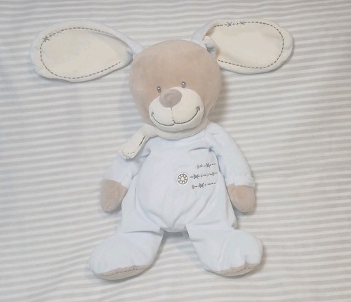 Hase nicotoy simba - nicotoy,