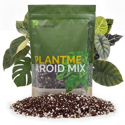 Aroid mix monstera erde - mix,,
