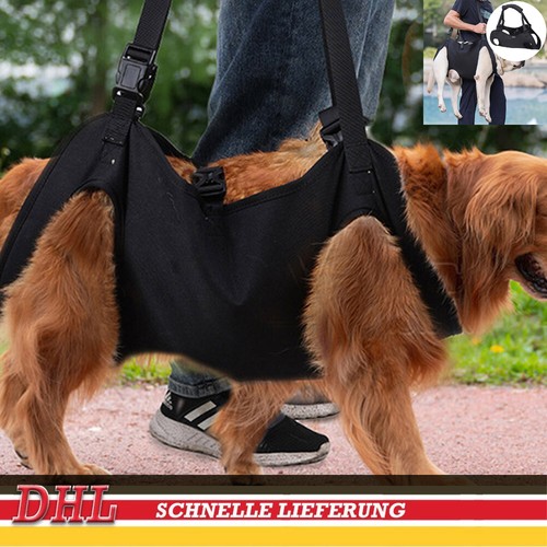 Xl hunde tragehilfe - hunde,