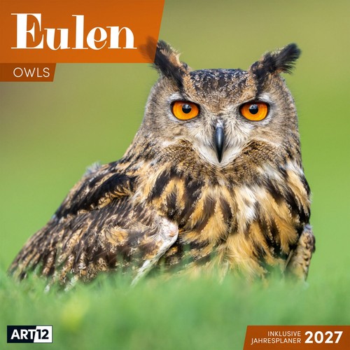 Eulen kalender 2027 - kalender, 30x30