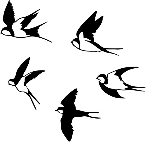 Vogel wanddekoration stück - vogel,