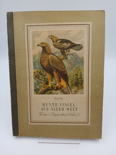 Bunte vögel aus - aus, aller