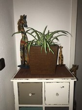 ** Edelrost Rost Pflanztopf Blumentopf, Pflanzkübel Pflanzschale 24x24x24 cm **