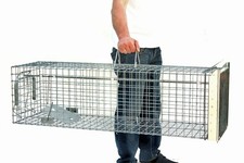 Fuchsfalle Waschbärfalle