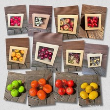 Herbstdeko / Obst & Früchte /
