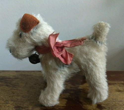 Kleiner hund terrier mohair - hund,