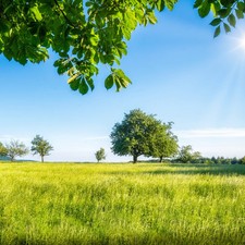 Hotelgutschein 2 Nächte 4*