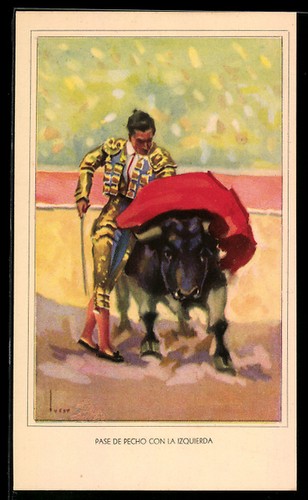 Torero und stier kampf - im,
