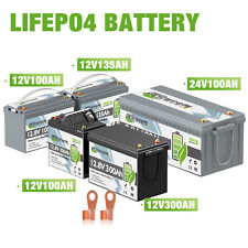 LiFePO4 Akku 12V/24V 60Ah
