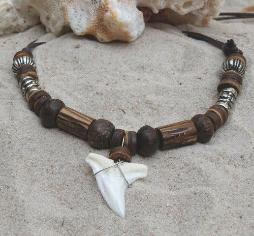 187 shark tooth - shark,