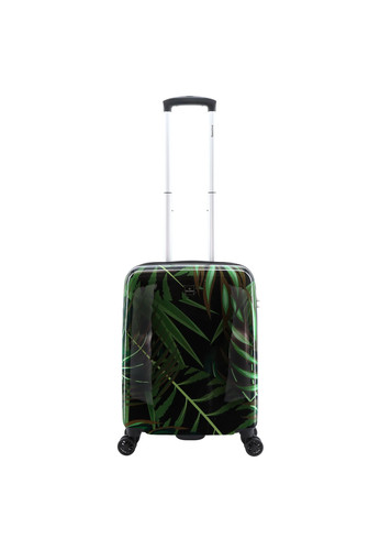 Saxoline palm leaves - palm,