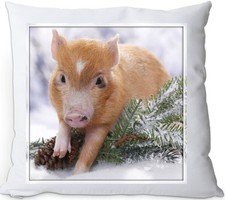 SCHWEIN - Kissen KUSCHELKISSEN