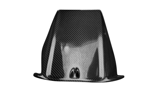 Carbon hinteres schutzblech - carbon,