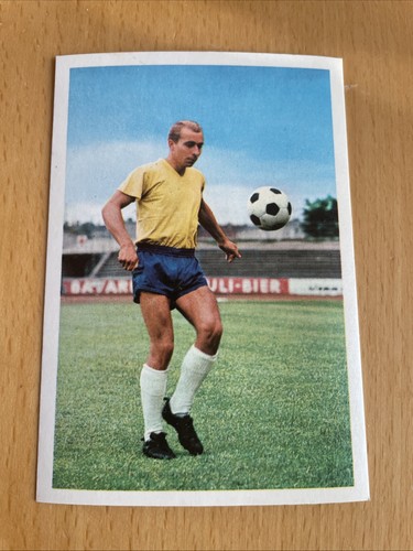 Bergmann 1967 42 - ,
