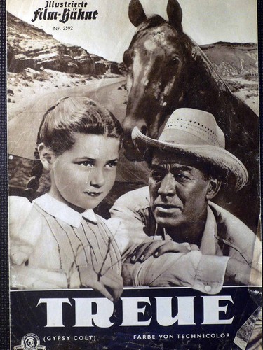 Treue donna corcoran - -,