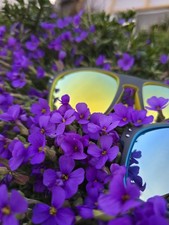 Luul sonnenbrille herren - sonnenbrille, damen