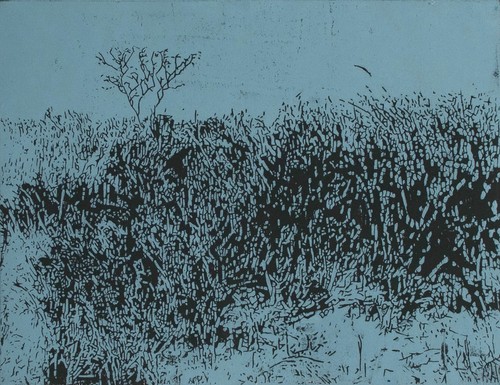 Luise dewerny holzschnitt - luise,