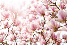 VLIES FOTOTAPETE XXL TAPETE