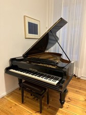 C. Bechstein Flügel B-200