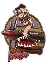 Blechschild "Miss Danger" US