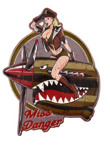 Blechschild miss danger us - blechschild,