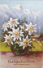 Enzian in Vase neben Bauernhaus Motivkarte signiert - c1950