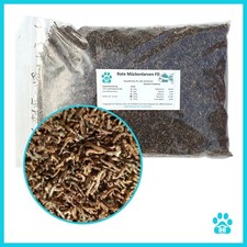 Rote Mückenlarven FD im 100