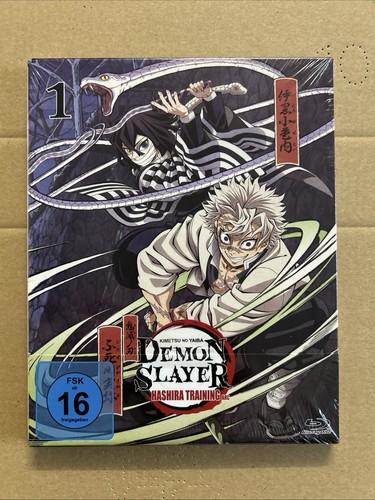 Demon slayer kimetsu yaiba - slayer:,