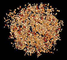 Exotenfutter TOP 25 kg