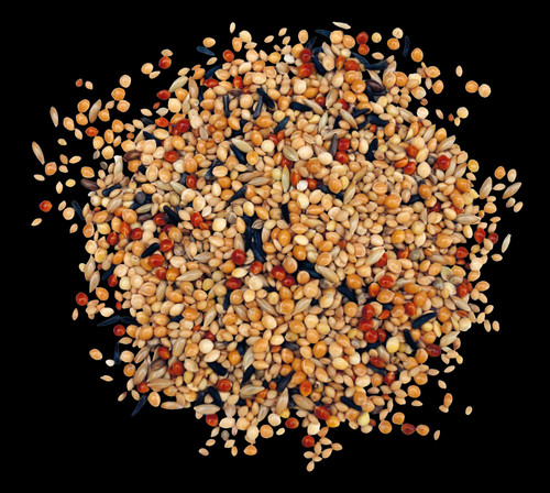 Exotenfutter top kg - exotenfutter,
