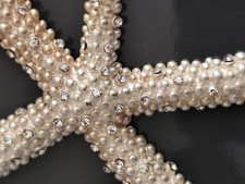 Kette Lang Mit Seestern