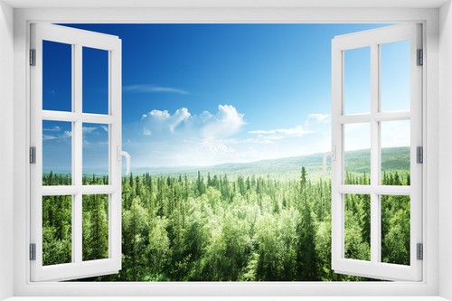 Fensterblick wandbild - fensterblick,