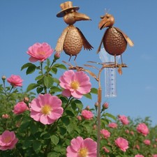 Regenmesser Gartenstecker