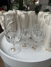 12x Biertulpe Isabella Von