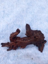 Aquariumwurzel Moorkienwurzel