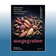 Ausgegraben - Süsskartoffel