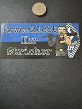 Ultras waldhof mannheim - ultras,